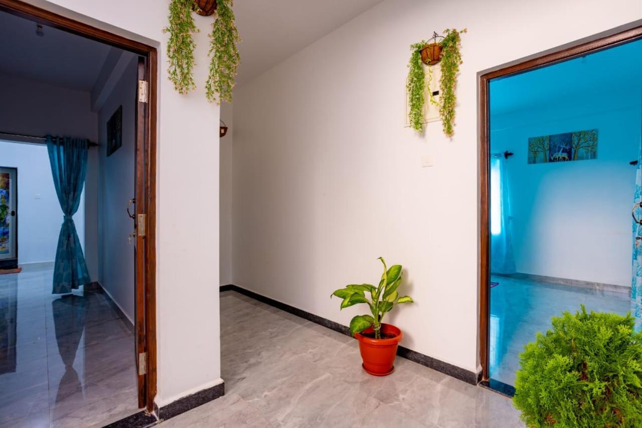 Goan Fiesta Studio Calangute Goa Villa Luaran gambar